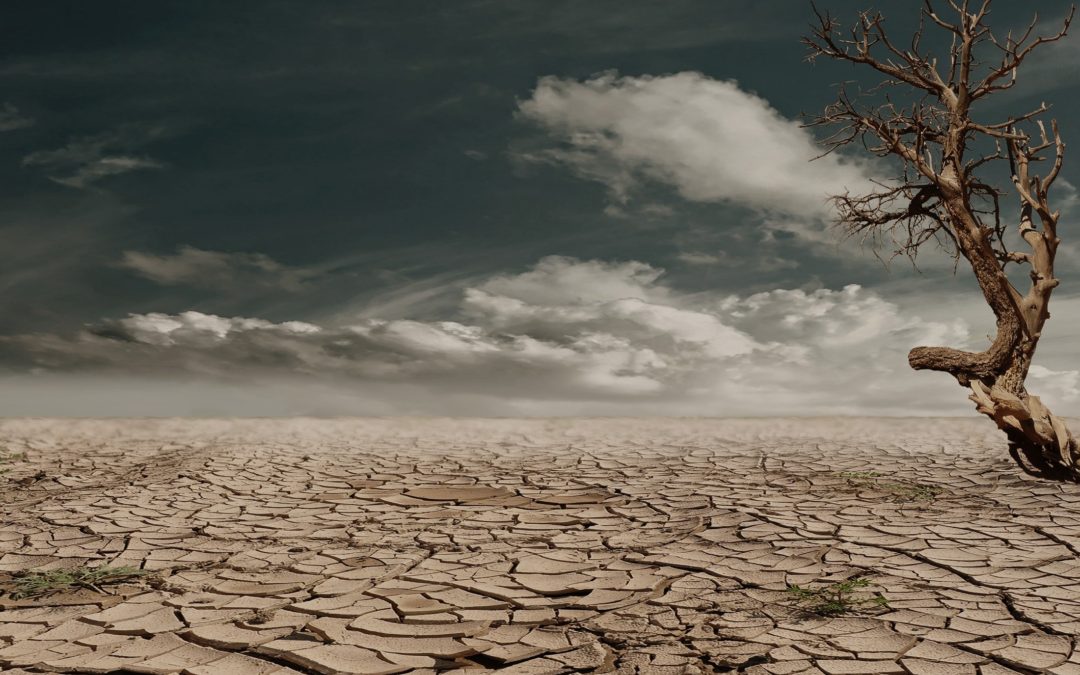 El cambio climático y la falta de agua