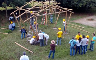 Bambú: uso tamaño y detalles de la estructura