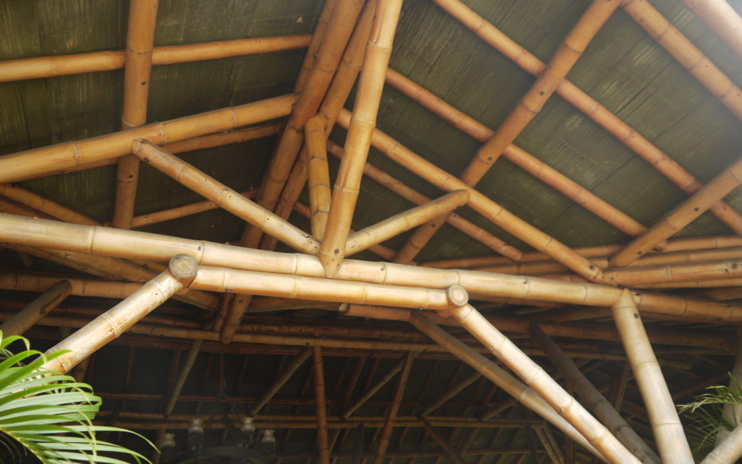 Bambú: el proyecto y su materialización