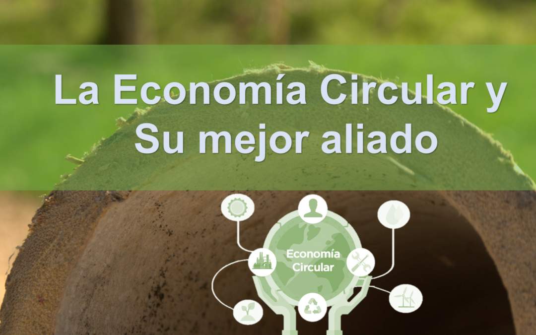 Economía circular y su mejor aliado