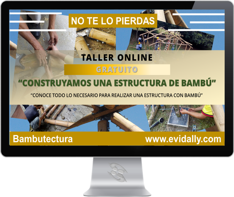 taller online bambú