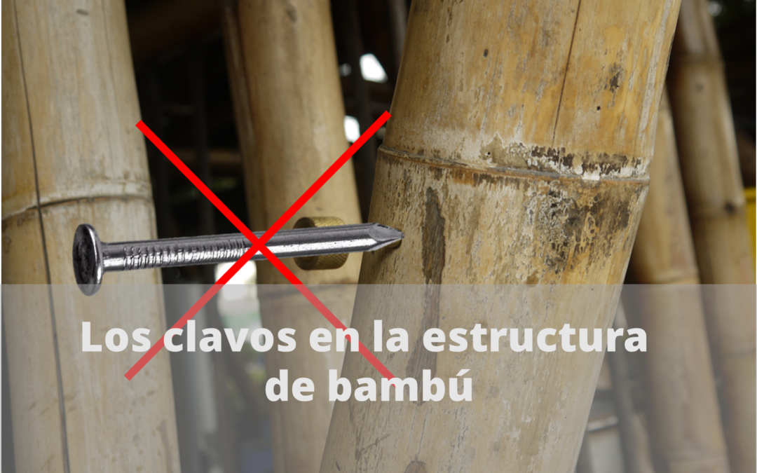 Los clavos en la estructura de bambú
