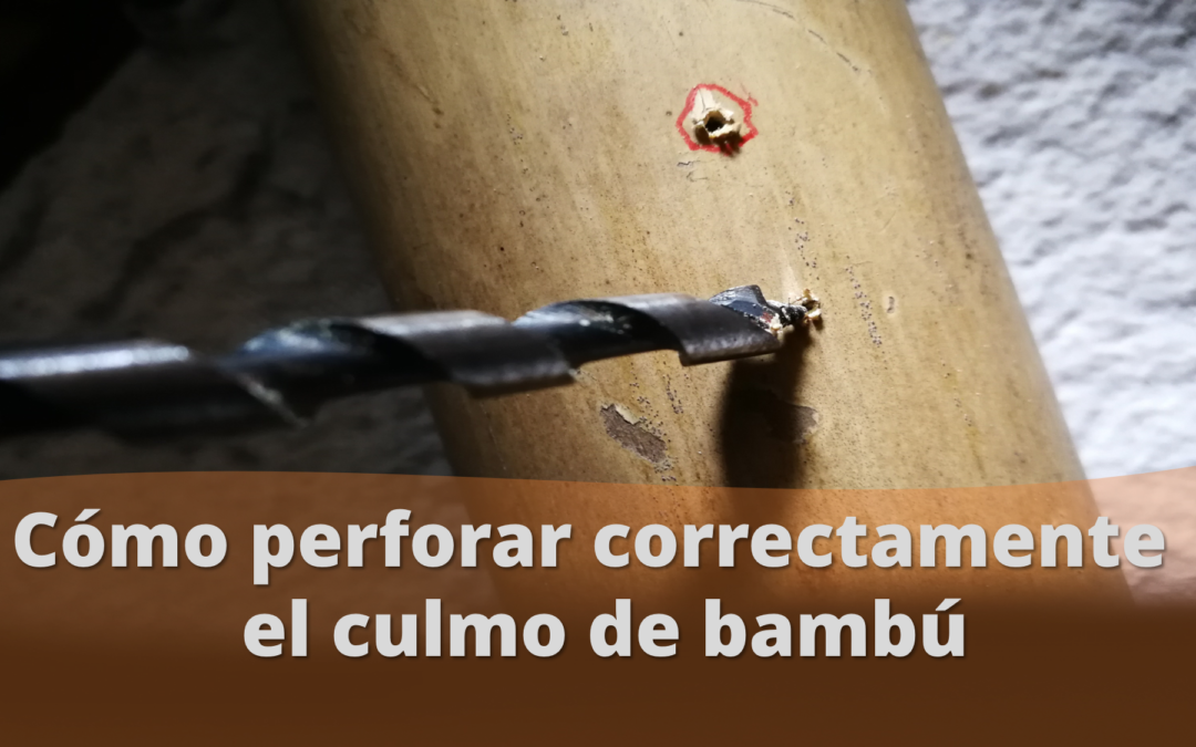 Perforaciones limpias en la estructura de bambú