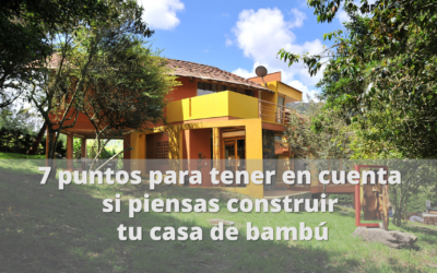 tu casa de bambú