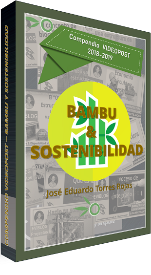 Ebook bambú y sostenibilidad