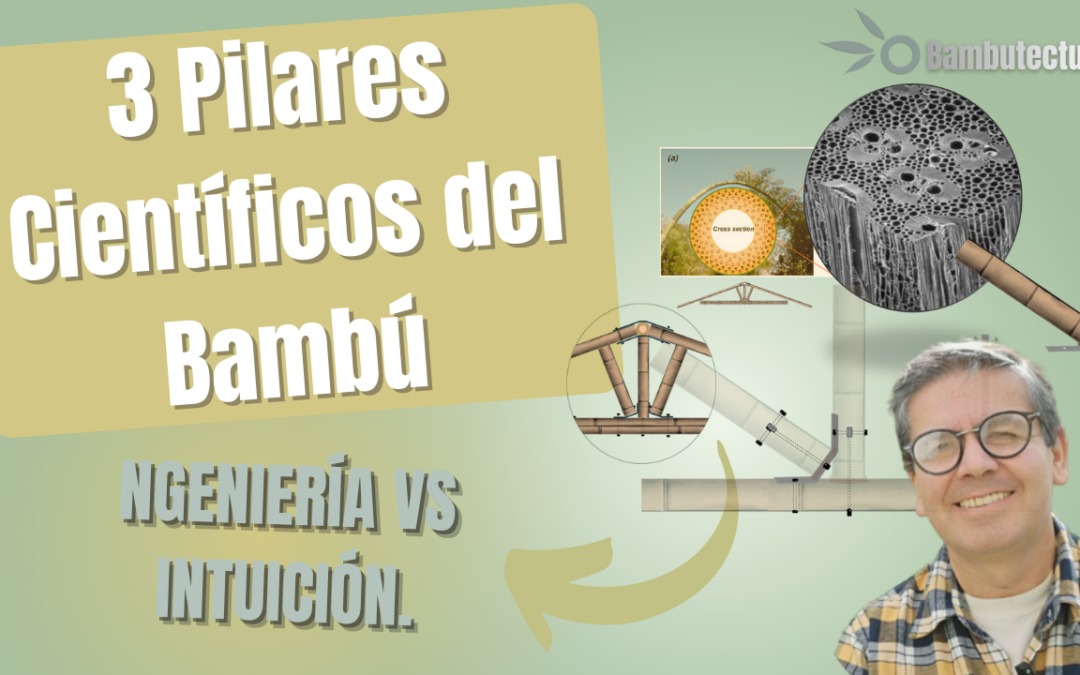 Por qué los Arquitectos fallan con el Bambú: 3 Leyes Físicas que no puedes ignorar