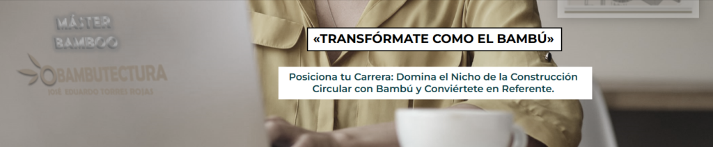 Mentoría VIP Máster Bamboo​